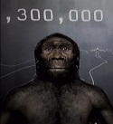 Homo Erectus